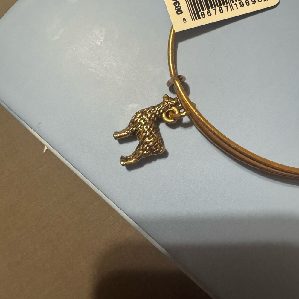 Alex and Ani Llama Bracelet